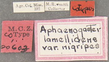 Media type: image; Entomology 20603   Aspect: labels